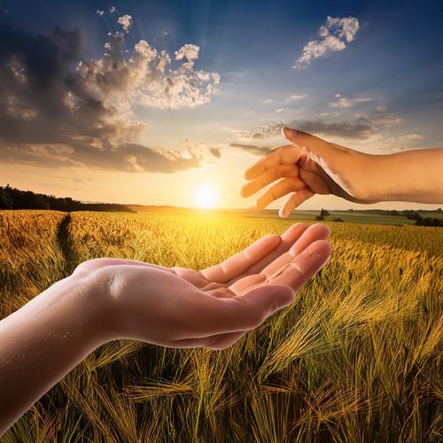 bottom half a field, top the sky with clouds and the sun in the middle, hands reaching towards each other